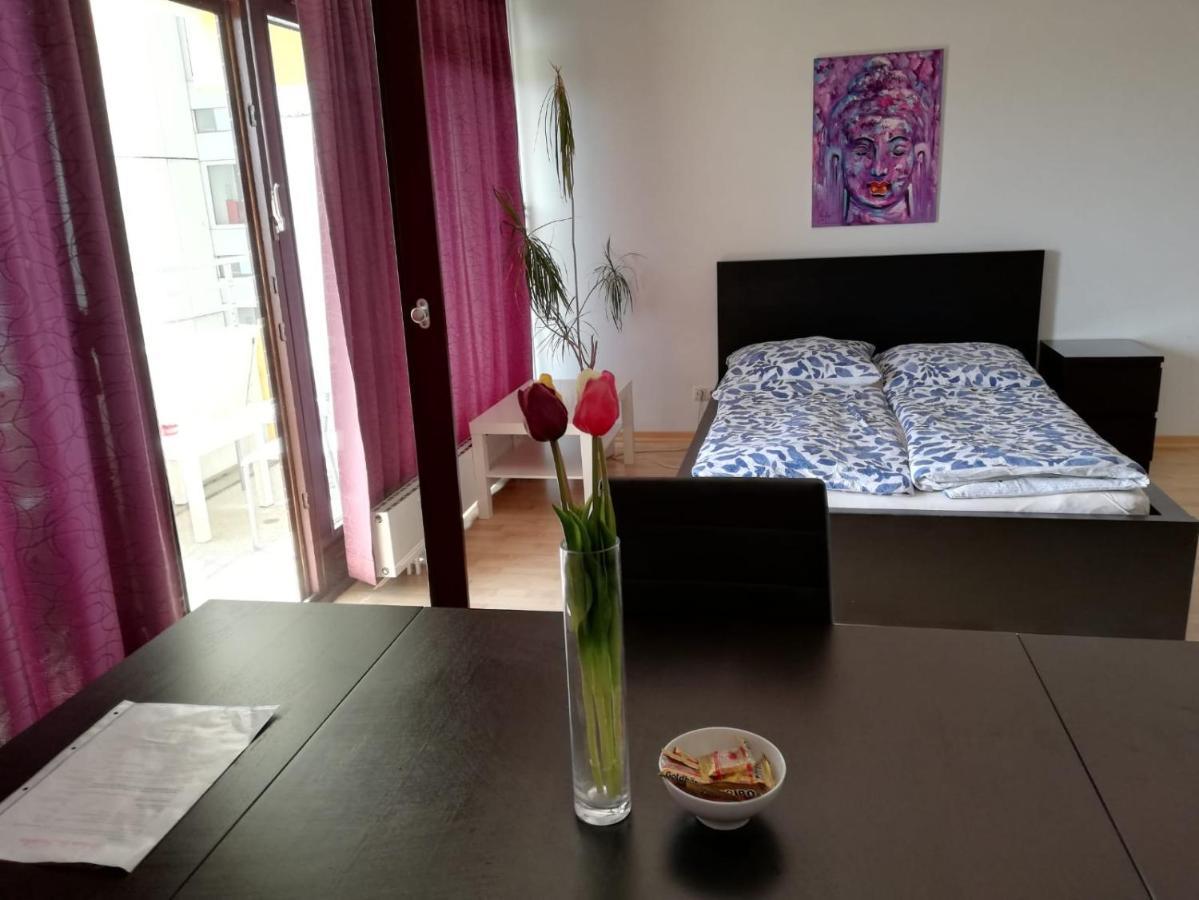 Studio Schwabing Fantastic Sunset View Múnich